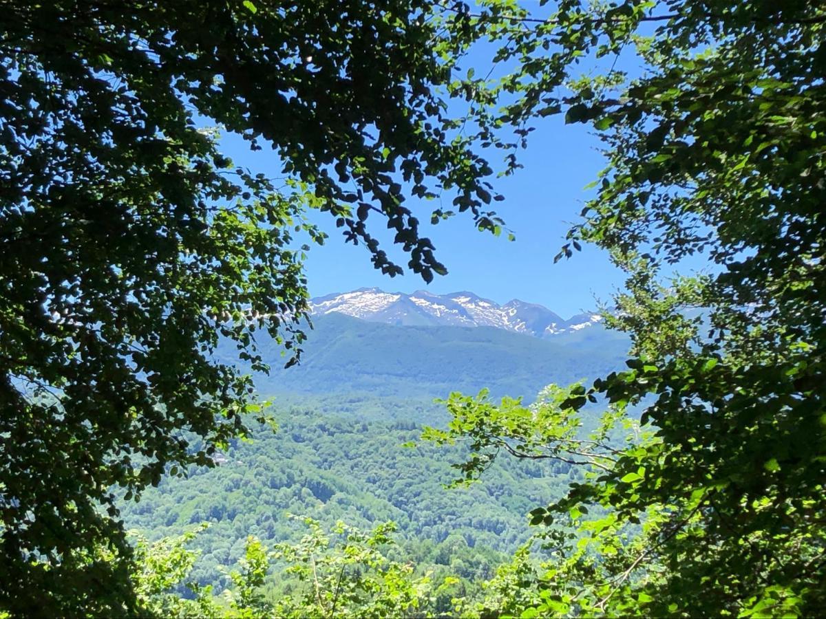 Fenetre Sur Les Pyrenees Hotel Soulan  Kültér fotó