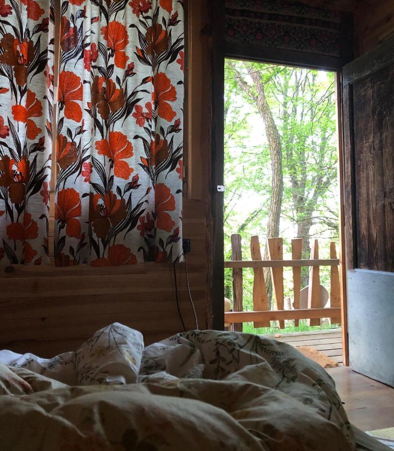 Fenetre Sur Les Pyrenees Hotel Soulan  Kültér fotó